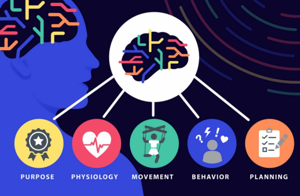 Mind-Body Marvel: Brain's Secret Network Finally Uncovered