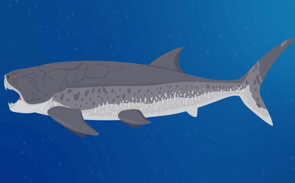 Paleontology Shocker: Giant Armored Fish Of Devonian Seas Were Not As Big As We Thought