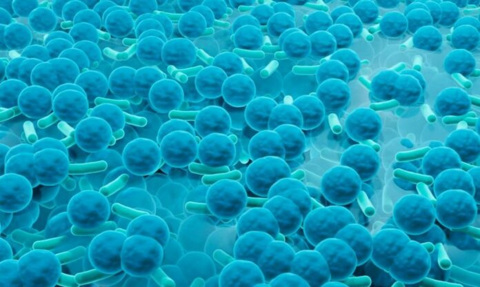 New Antibiotic Discovery Could Help Take Down Bacteria Responsible for Drug-resistant Infections - 'Public Enemy No. 1'