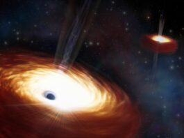28 Billion Suns? The Largest Pair of Black Holes Ever Seen